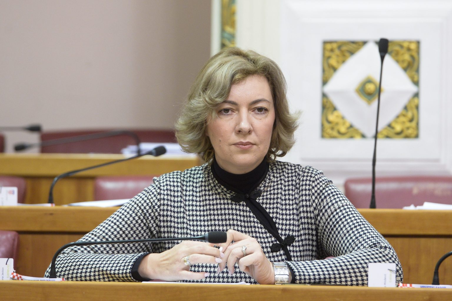 Treba li Hrvatska tražiti od Srbije dopuštenje za gradnju nuklearne elektrane?