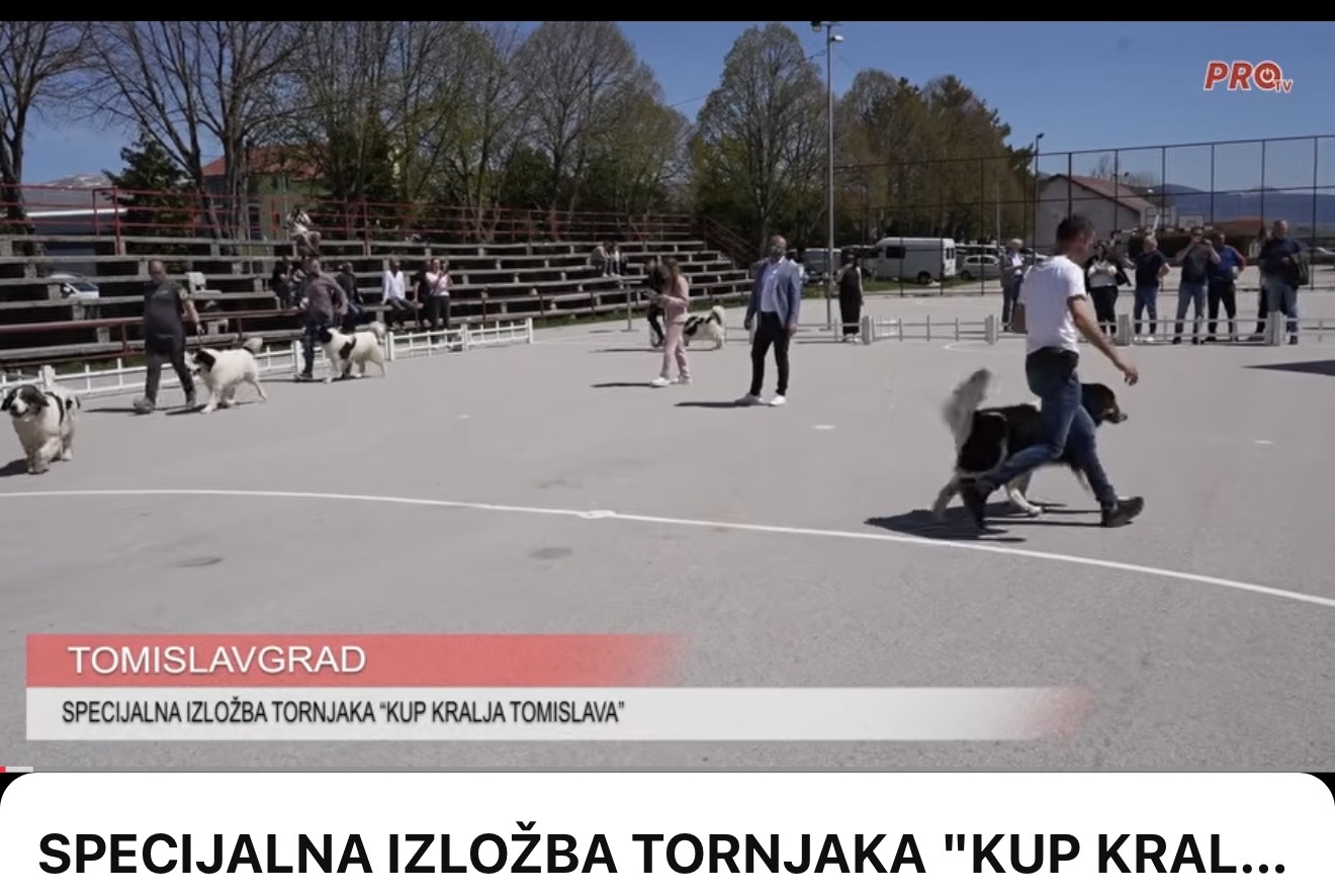 SPECIJALNA IZLOŽBA TORNJAKA “KUP KRALJA TOMISLAVA” U SPOMEN NA FRA PETRA KRASIĆA